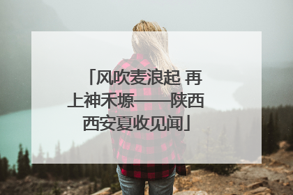 风吹麦浪起 再上神禾塬——陕西西安夏收见闻