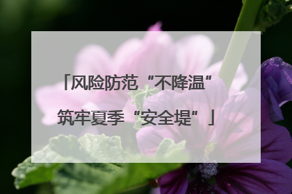 风险防范“不降温” 筑牢夏季“安全堤”