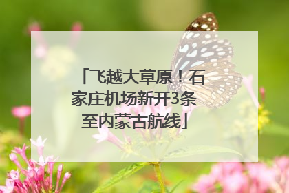 飞越大草原！石家庄机场新开3条至内蒙古航线