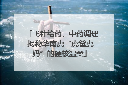 飞针给药、中药调理 揭秘华南虎“虎爸虎妈”的硬核温柔