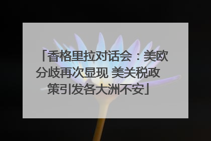 香格里拉对话会：美欧分歧再次显现 美关税政策引发各大洲不安