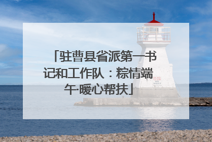 驻曹县省派第一书记和工作队：粽情端午·暖心帮扶