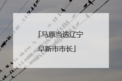 马原当选辽宁阜新市市长