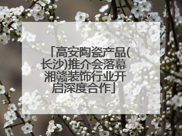高安陶瓷产品(长沙)推介会落幕 湘赣装饰行业开启深度合作