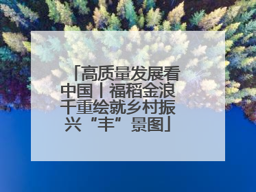 高质量发展看中国丨福稻金浪千重绘就乡村振兴“丰”景图