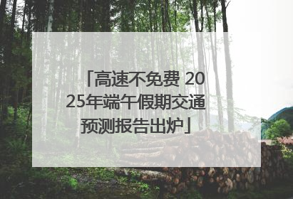 高速不免费 2025年端午假期交通预测报告出炉