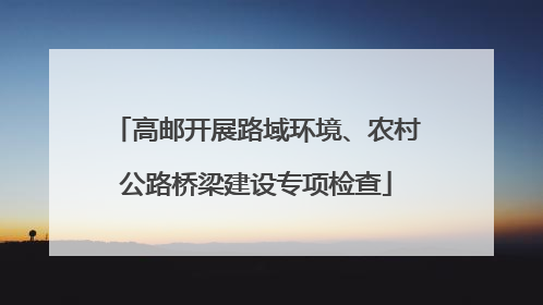 高邮开展路域环境、农村公路桥梁建设专项检查