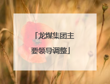 龙煤集团主要领导调整