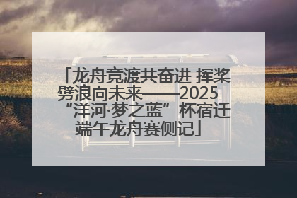 龙舟竞渡共奋进 挥桨劈浪向未来——2025“洋河·梦之蓝”杯宿迁端午龙舟赛侧记
