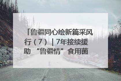 鲁疆同心绘新篇采风行（7）｜7年接续援助 “鲁疆情”食用菌从1.0走向4.0