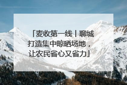 麦收第一线丨聊城打造集中晾晒场地，让农民省心又省力