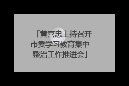 黄喜忠主持召开市委学习教育集中整治工作推进会