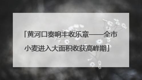 黄河口奏响丰收乐章——全市小麦进入大面积收获高峰期