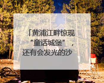 黄浦江畔惊现“童话城堡”，还有会发光的沙画包包？｜宝藏小店
