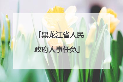 黑龙江省人民政府人事任免