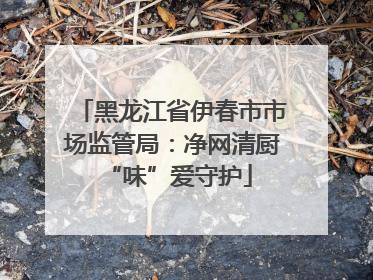黑龙江省伊春市市场监管局：净网清厨 “味”爱守护