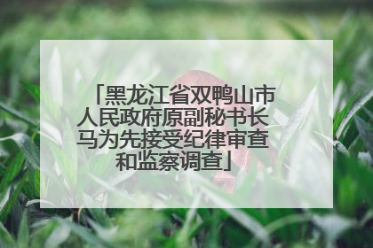 黑龙江省双鸭山市人民政府原副秘书长马为先接受纪律审查和监察调查