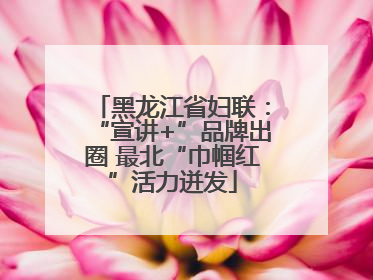 黑龙江省妇联：“宣讲+”品牌出圈 最北“巾帼红”活力迸发