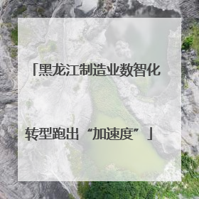 黑龙江制造业数智化转型跑出“加速度”