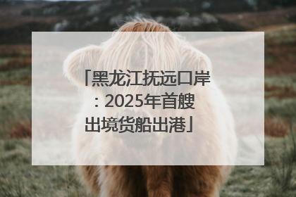 黑龙江抚远口岸：2025年首艘出境货船出港