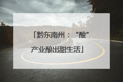 黔东南州：“酸”产业酿出甜生活