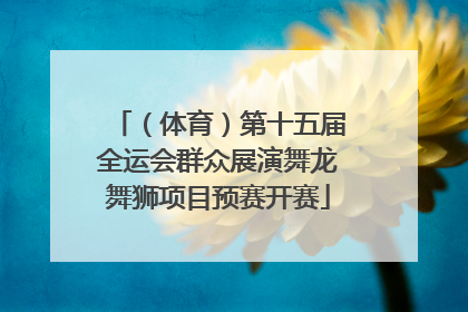 （体育）第十五届全运会群众展演舞龙舞狮项目预赛开赛