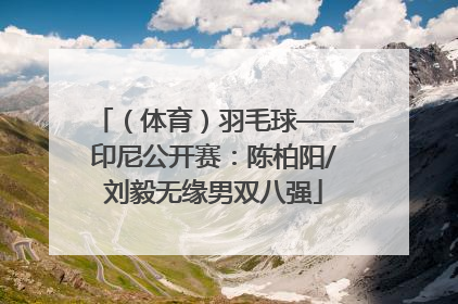 （体育）羽毛球——印尼公开赛：陈柏阳/刘毅无缘男双八强