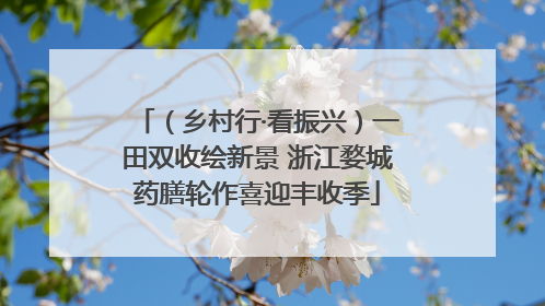 （乡村行·看振兴）一田双收绘新景 浙江婺城药膳轮作喜迎丰收季