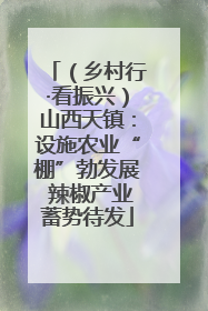 （乡村行·看振兴）山西天镇：设施农业“棚”勃发展 辣椒产业蓄势待发