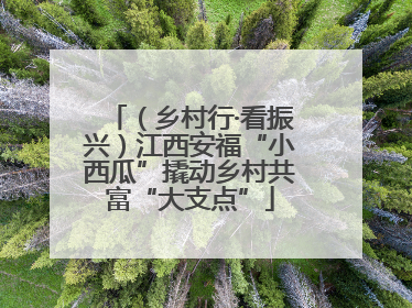 （乡村行·看振兴）江西安福“小西瓜”撬动乡村共富“大支点”