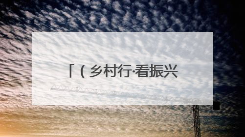 （乡村行·看振兴）江西彭泽千亩黄花菜丰收 金色乡村孕育致富新希望