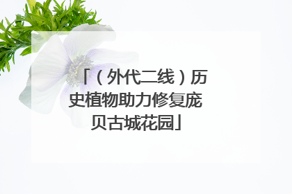 （外代二线）历史植物助力修复庞贝古城花园