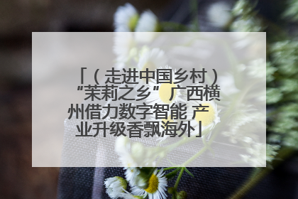 （走进中国乡村）“茉莉之乡”广西横州借力数字智能 产业升级香飘海外