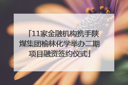 11家金融机构携手陕煤集团榆林化学举办二期项目融资签约仪式