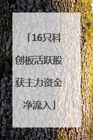 16只科创板活跃股获主力资金净流入