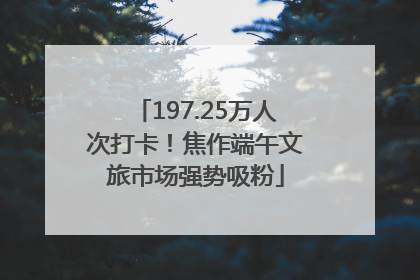 197.25万人次打卡！焦作端午文旅市场强势吸粉