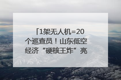 1架无人机=20个巡查员！山东低空经济“硬核王炸”亮相青岛，下一个万亿赛道藏在这里