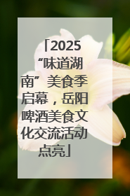 2025 “味道湖南”美食季启幕，岳阳啤酒美食文化交流活动点亮