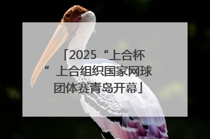 2025“上合杯”上合组织国家网球团体赛青岛开幕