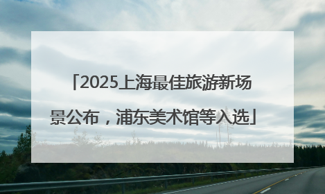 2025上海最佳旅游新场景公布，浦东美术馆等入选