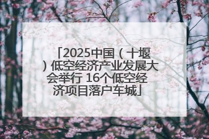 2025中国（十堰）低空经济产业发展大会举行 16个低空经济项目落户车城