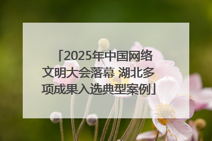 2025年中国网络文明大会落幕 湖北多项成果入选典型案例