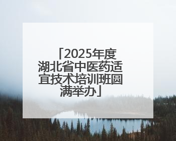 2025年度湖北省中医药适宜技术培训班圆满举办