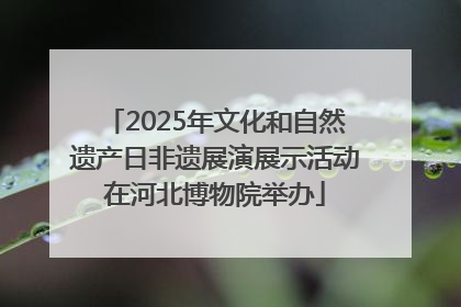 2025年文化和自然遗产日非遗展演展示活动在河北博物院举办