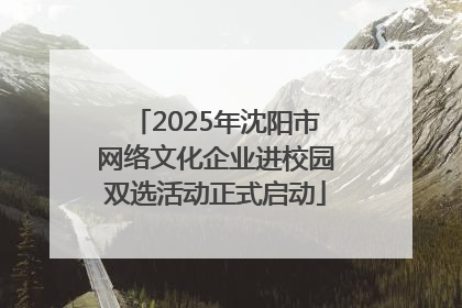 2025年沈阳市网络文化企业进校园双选活动正式启动