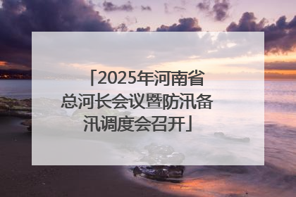 2025年河南省总河长会议暨防汛备汛调度会召开