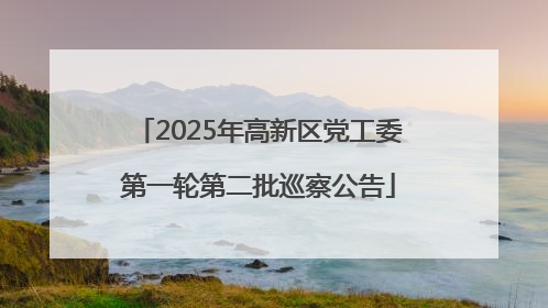 2025年高新区党工委第一轮第二批巡察公告