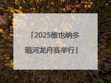 2025维也纳多瑙河龙舟赛举行