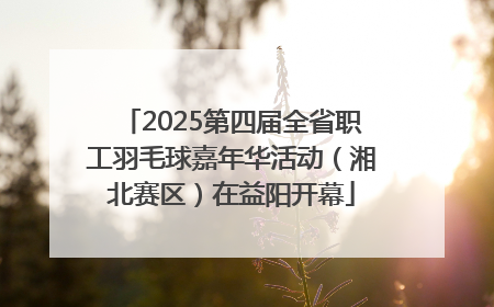 2025第四届全省职工羽毛球嘉年华活动（湘北赛区）在益阳开幕