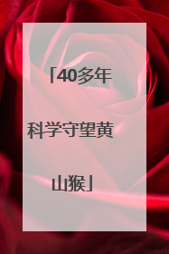40多年科学守望黄山猴